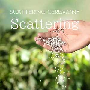 The powdered remains will be respectfully scattered in the forest.