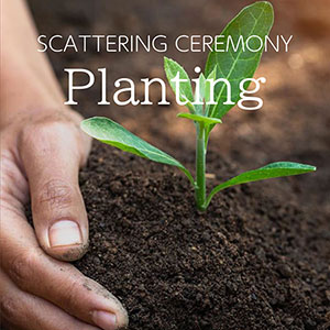 A memorial tree will be planted at the site of scattering.