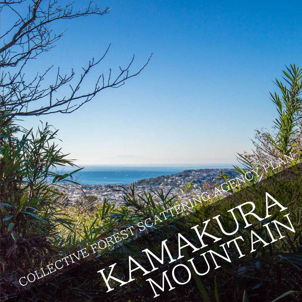 COLLECTIVE FOREST SCATTERING AGENCY PLAN Maybe in the mountains of Kamakura?