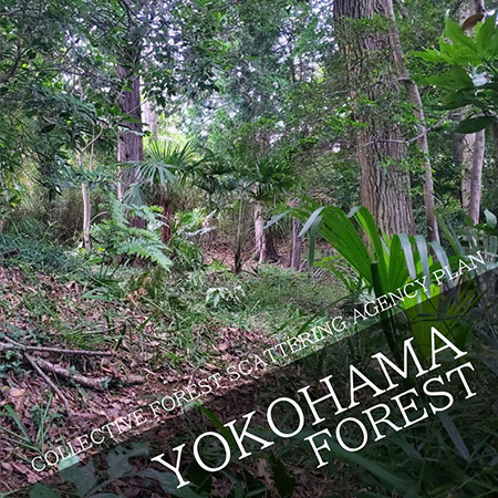 COLLECTIVE FOREST SCATTERING AGENCY PLAN in Yokohama