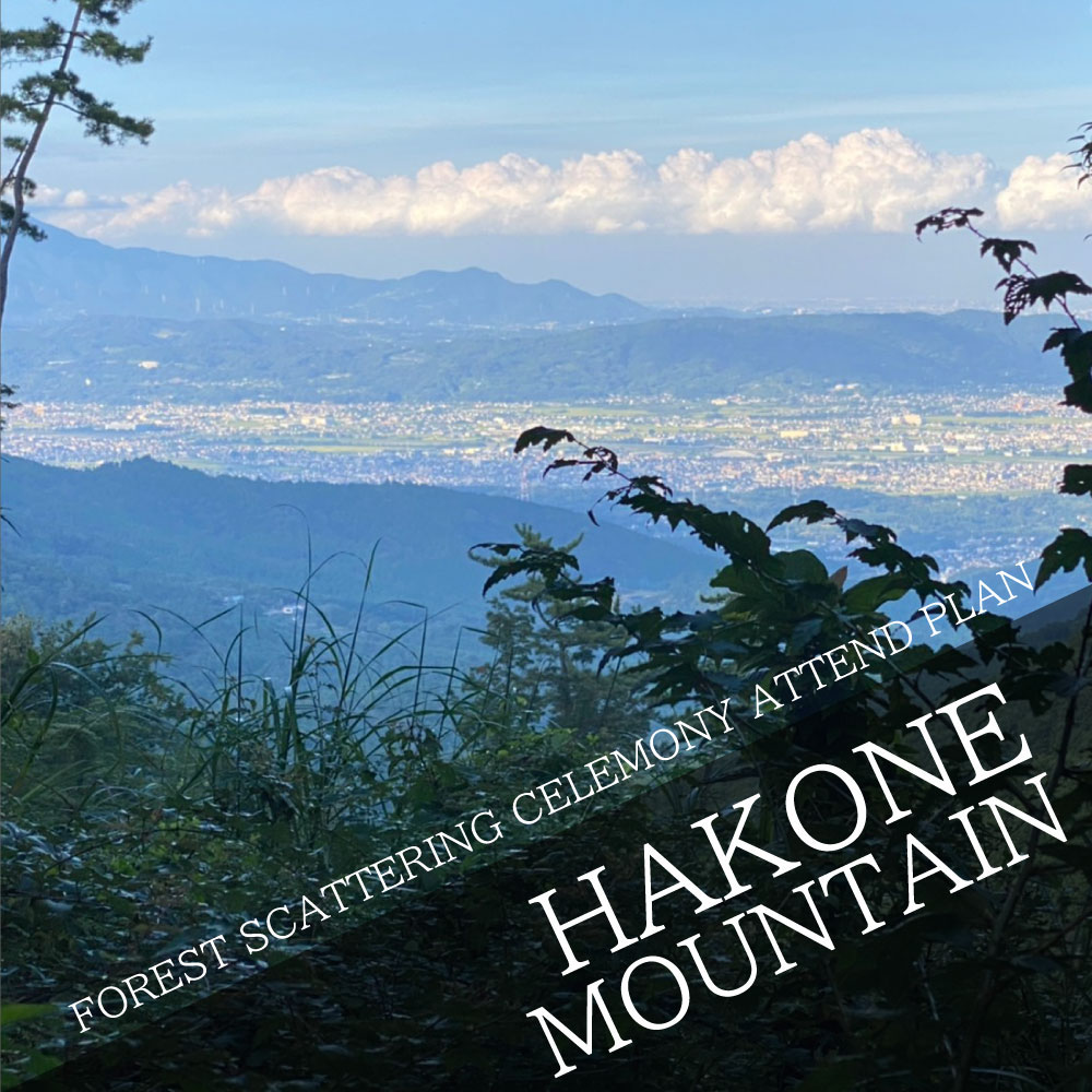 FOREST SCATTERING CELEMONY ATTEND PLAN Scattering in the mountains of Hakone!