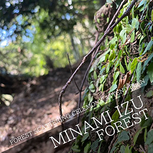 FOREST SCATTERING CELEMONY ATTEND PLAN Scattering in the forest of Minami-izu!