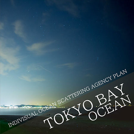 INDIVISUAL OCEAN SCATTERING AGENCY PLAN in Tokyo bay