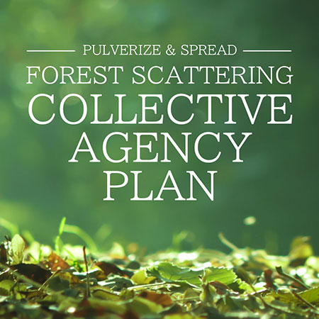 COLLECTIVE FOREST SCATTERING AGENCY PLAN