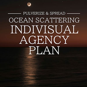 Ocean Scattering INDIVISUAL AGENCY PLAN