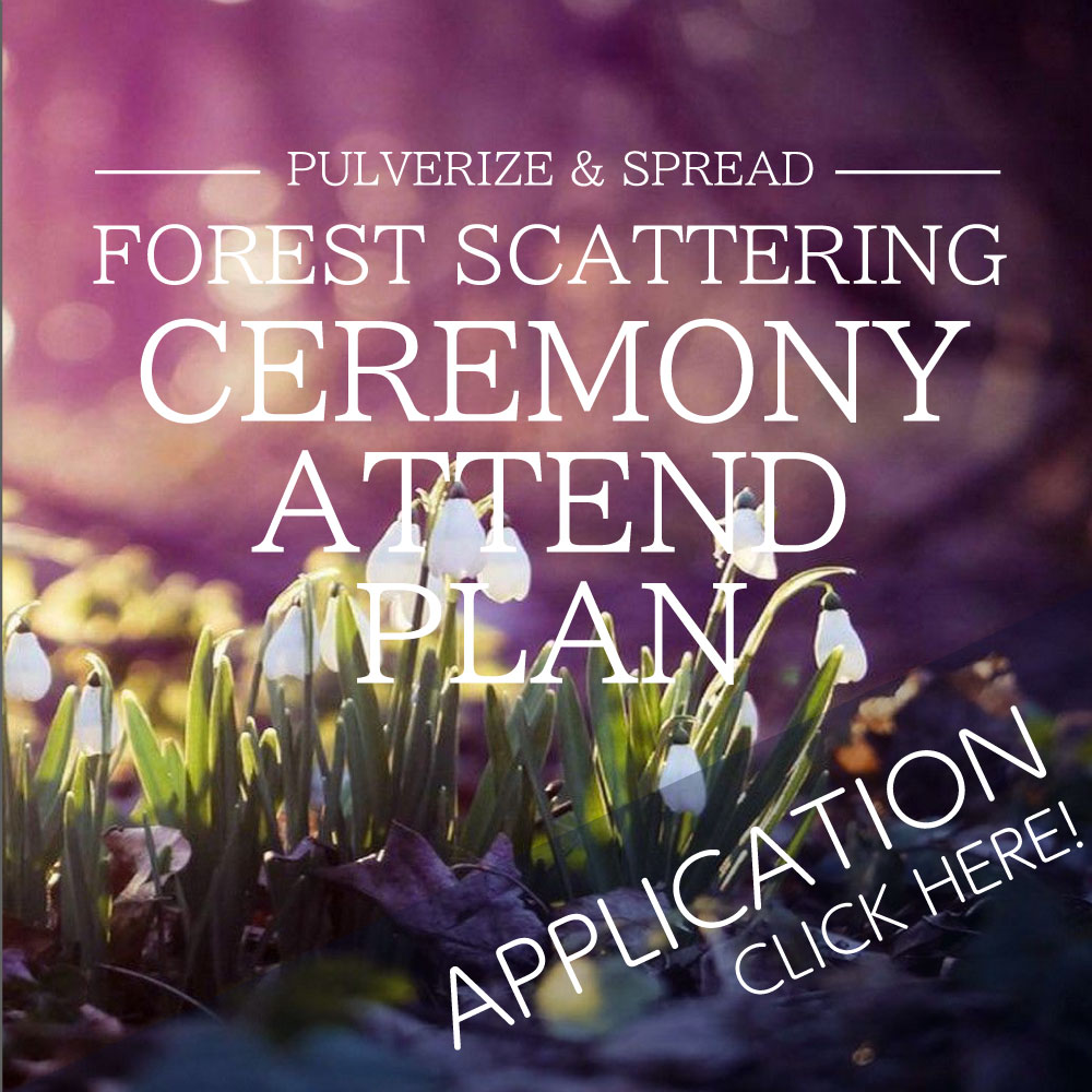 Apply for Scattering ashes in forest CEREMONY ATTEND PLAN