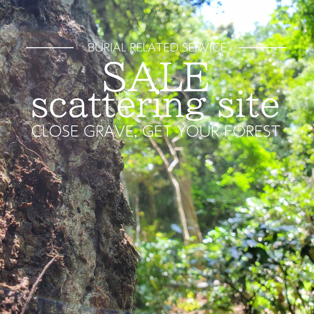 Real estate sales for forest scattering