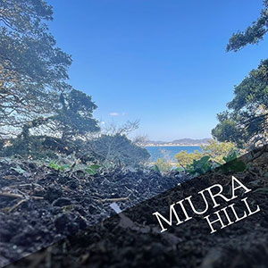 Scattering ash in Miura hill