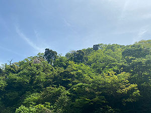 神奈川県の散骨場所【葉山の谷戸】