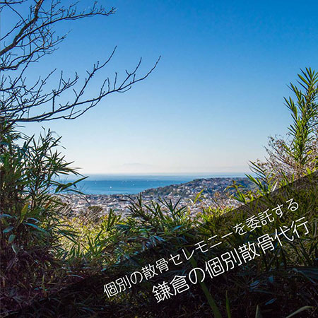 鎌倉山林散骨＿個別散骨代行プラン