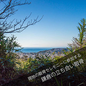 鎌倉の山で散骨セレモニーに立ち会うプラン