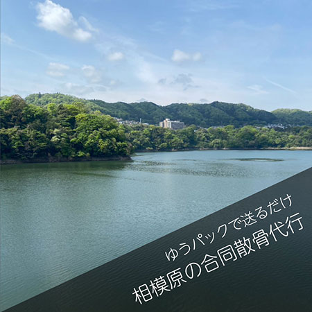 相模原山林散骨＿合同散骨代行プラン