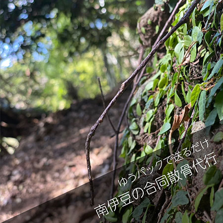 南伊豆山林散骨＿合同散骨代行プラン