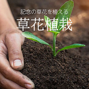 記念の草花植栽