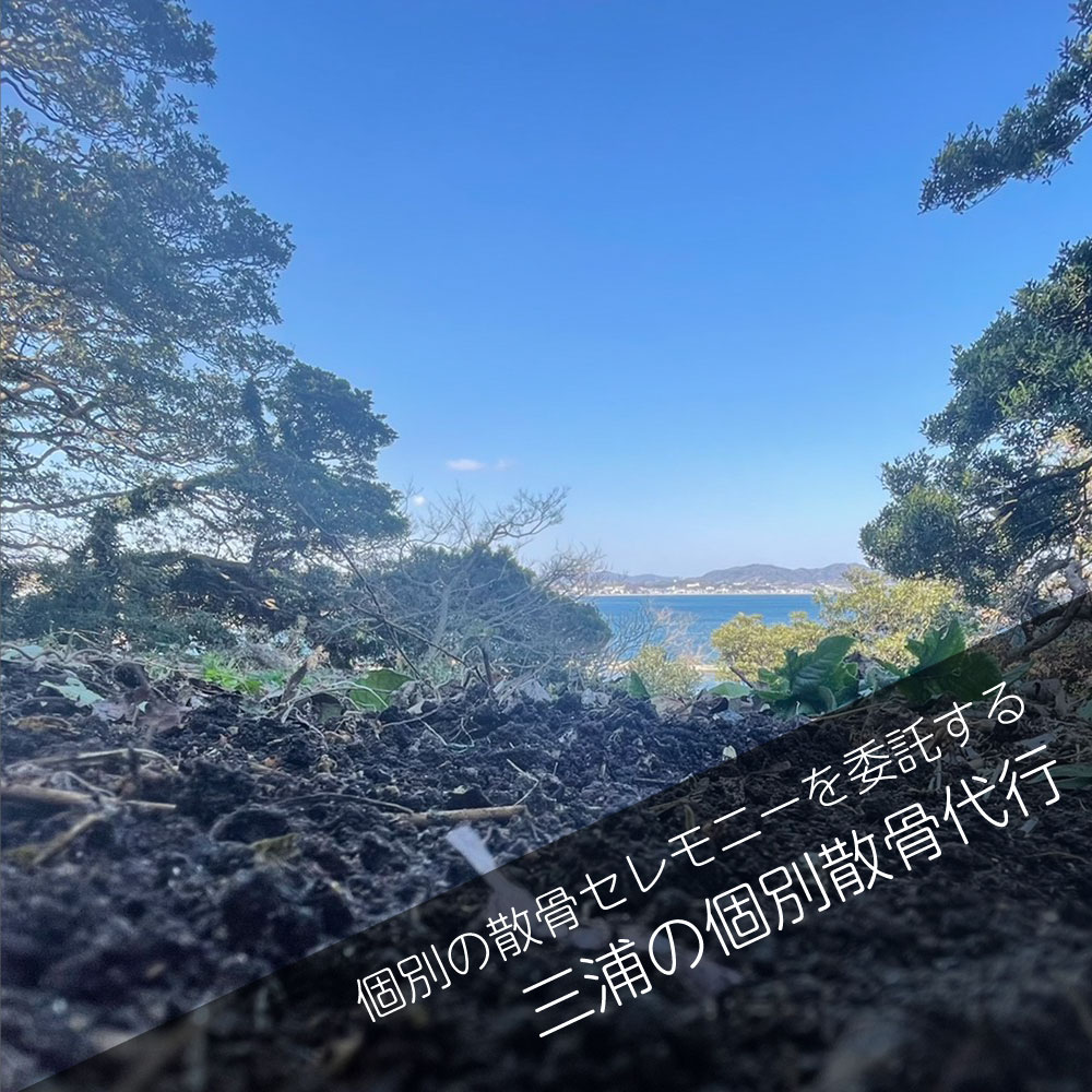 三浦の山林散骨＿個別散骨代行プラン