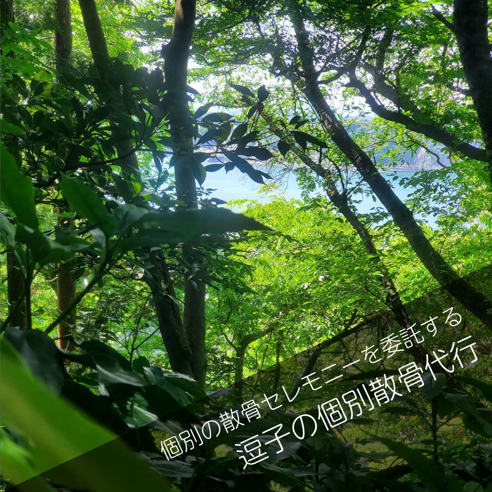 逗子の山林散骨＿個別散骨代行プラン