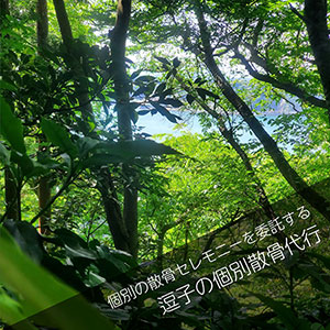 逗子の森で散骨セレモニーを委託するプラン