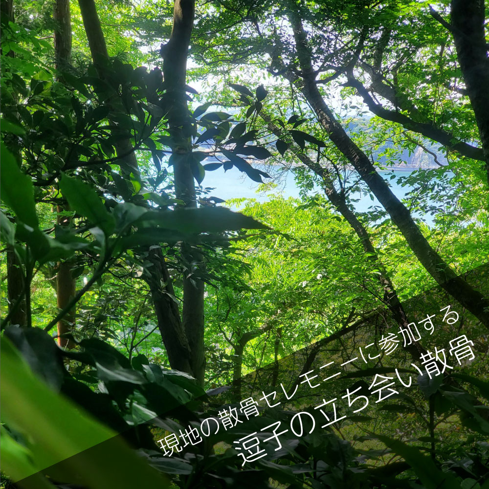 逗子の山林散骨＿立ち合い散骨プラン