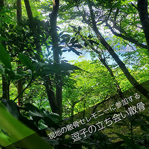 逗子の森で散骨セレモニーに立ち会うプラン