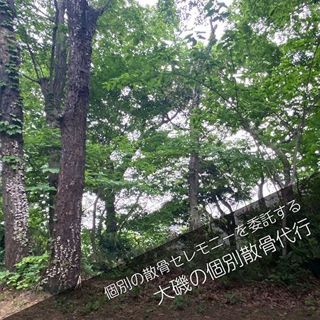 大磯山林散骨＿個別散骨代行プラン