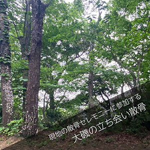 大磯の森で散骨セレモニーに立ち会うプラン