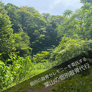 葉山の谷戸で散骨セレモニーを委託するプラン