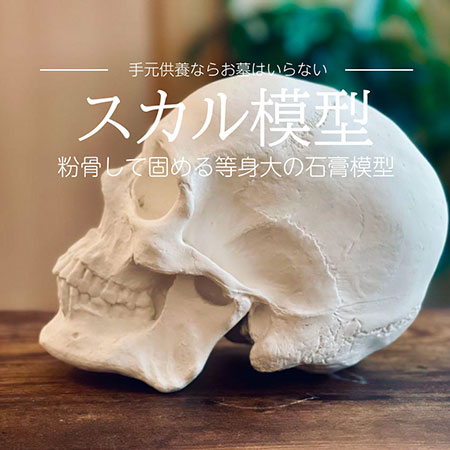 等身大スカル模型