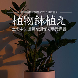 植物鉢植えで手元供養