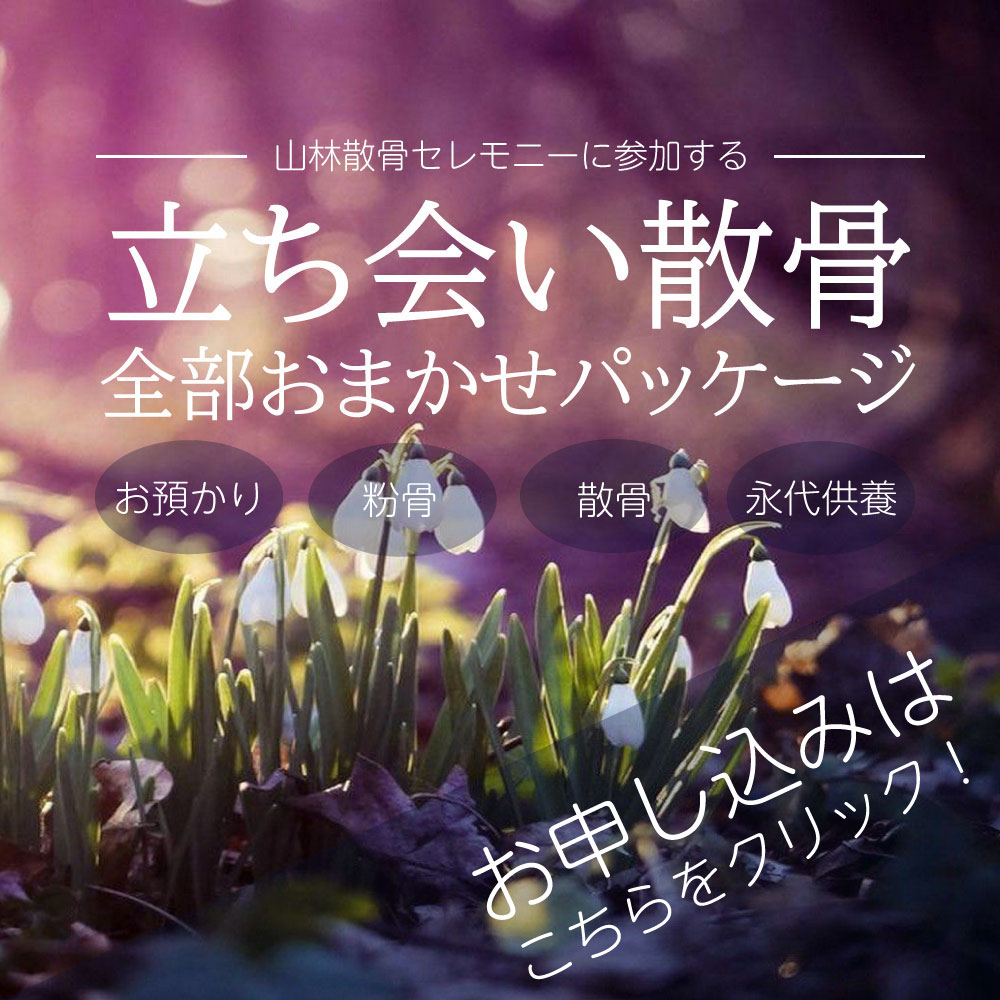 立ち会い散骨プランのお申し込み